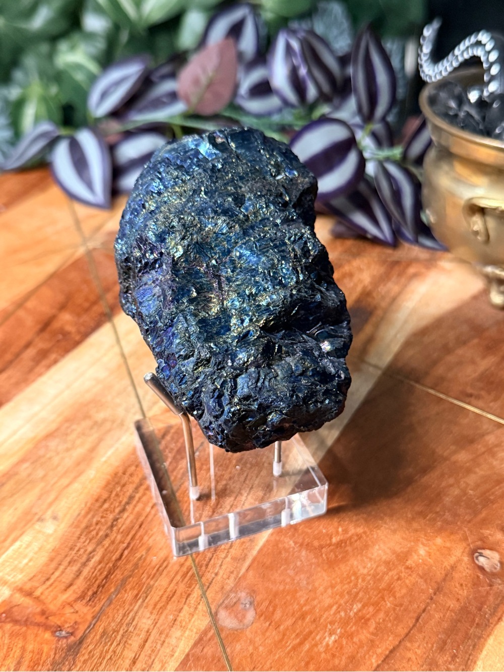 Peacock coal